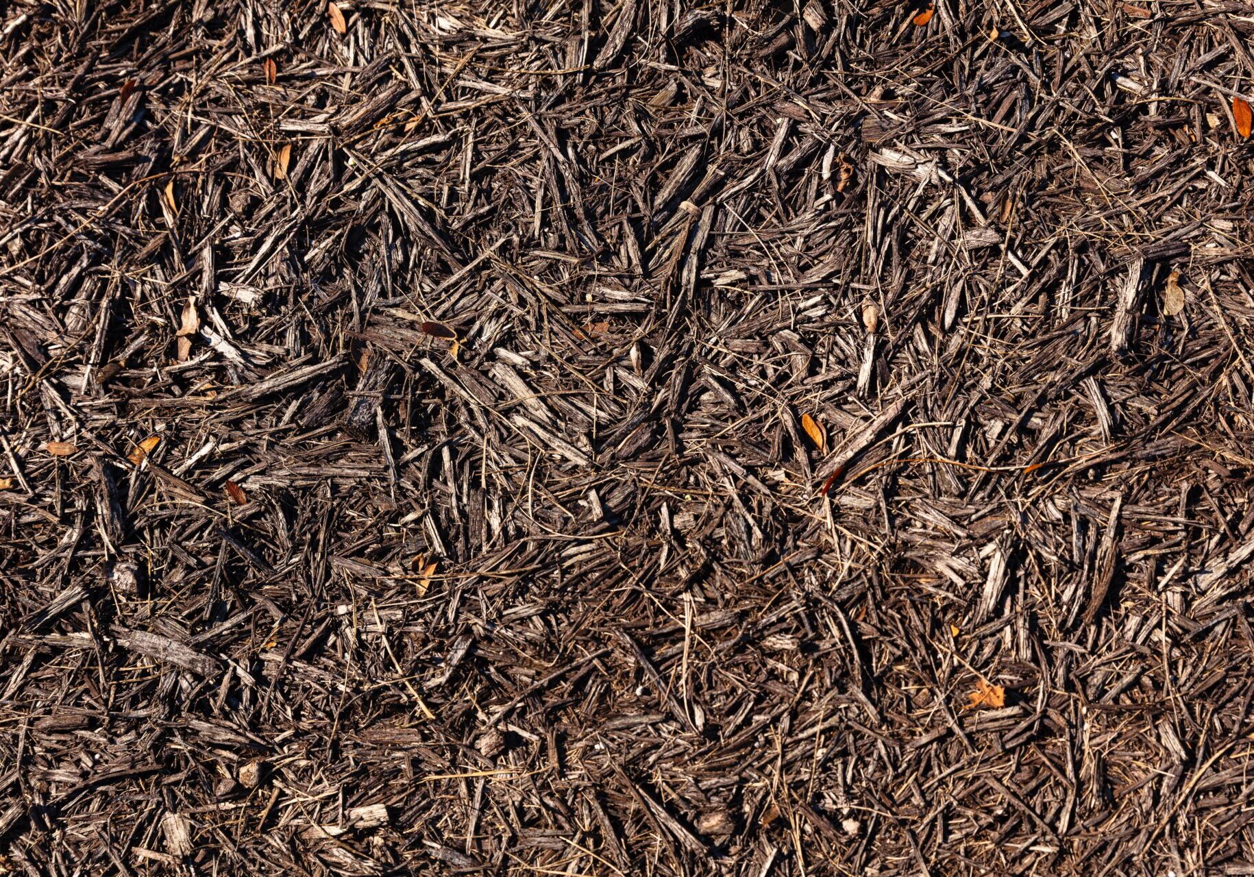 brown mulch